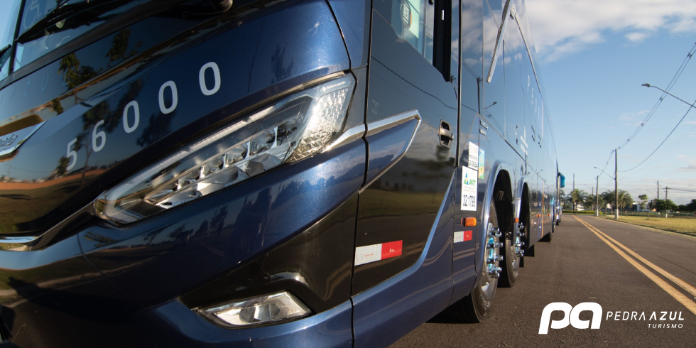 Frota de Ônibus de Alto Padrão para Viagens Interestaduais
